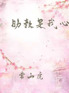 助教是我心尖宠