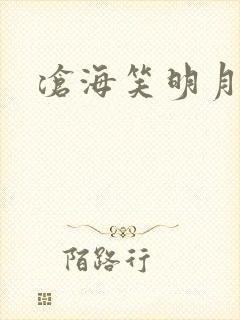 沧海笑明月