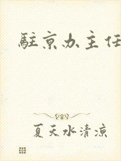 驻京办主任对手