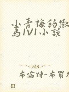 小青梅的傲娇竹马1V1小说