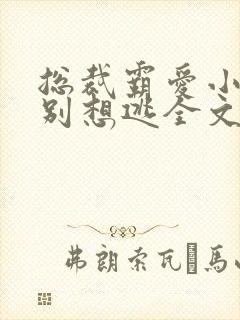 总裁霸爱小娇妻别想逃全文阅读免费