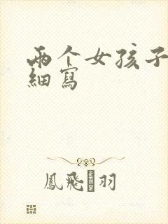 两个女孩子开车细写