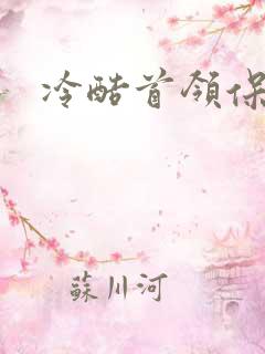 冷酷首领保姆妻