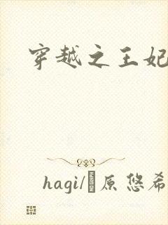 穿越之王妃有孕