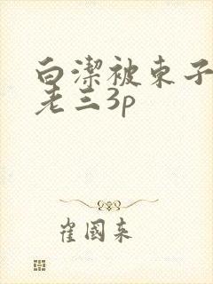 白洁被东子老二老三3p