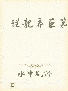 从龙弄臣第一次