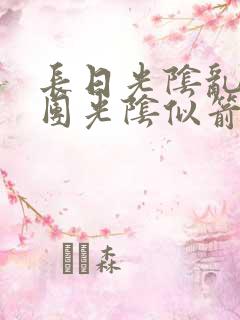 长日光阴乱作一团光阴似箭无弹窗