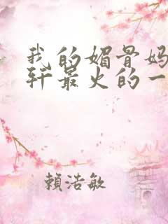 我的媚骨妈妈林轩最火的一句