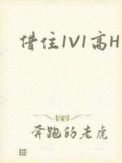 借住1V1高H