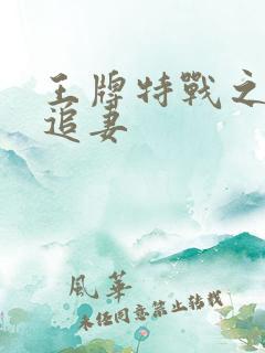 王牌特战之军少追妻