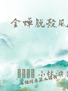 金蝉脱壳风弄
