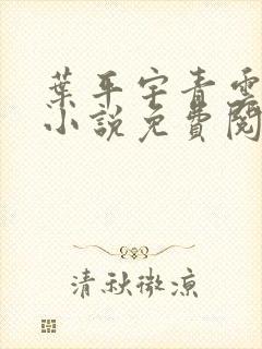 叶平宇青云直上小说免费阅读