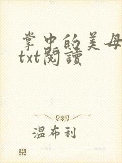 掌中的美母版主txt阅读