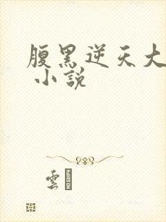 腹黑逆天大小姐 小说