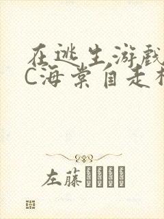 在逃生游戏里挨C海棠自走棋