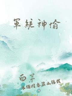 军统神偷