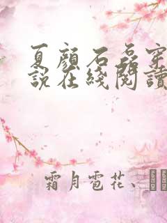 夏颜石磊穿越小说在线阅读