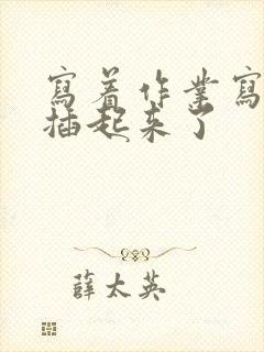 写着作业写着就插起来了