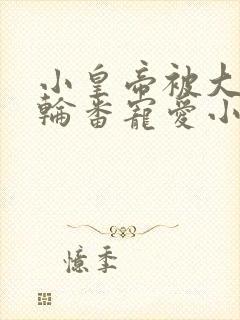 小皇帝被大臣们轮番宠爱小说