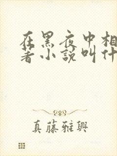 在黑夜中相拥原著小说叫什么