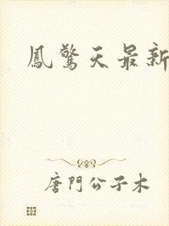 凤惊天最新章节