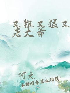 又粗又猛又大爽老大爷