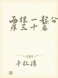 两根一起公憩止痒三十篇