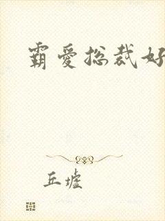 霸爱总裁好生猛