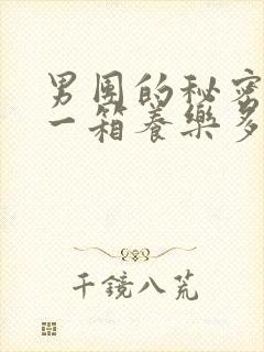 男团的秘密BY一箱养乐多小说