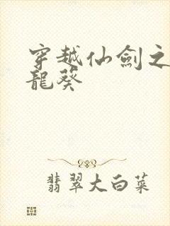 穿越仙剑之守护龙葵