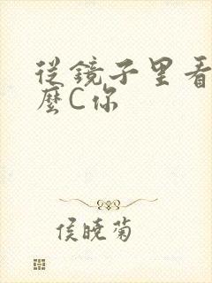 从镜子里看我怎么C你