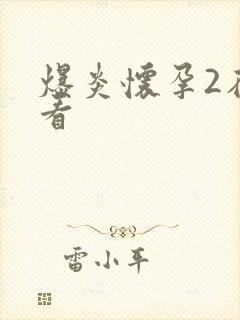 爆炎怀孕2在线看