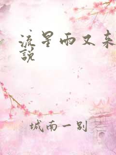 流星雨又来临小说