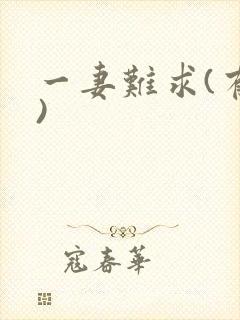 一妻难求(有肉)