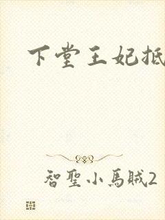 下堂王妃抵万金