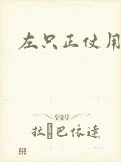 左只正仗用