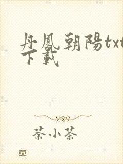 丹凤朝阳txt下载