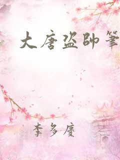 大唐盗帅笔趣阁