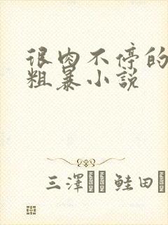 很肉不停的做很粗暴小说