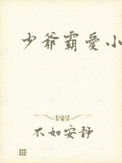 少爷霸爱小丫头