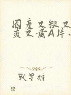 国产又粗又猛又爽又黄A片小说