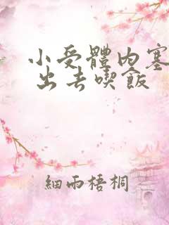 小受体内塞东西 出去吃饭