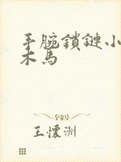 手腕锁链小黑屋木马