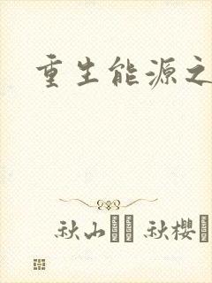 重生能源之王