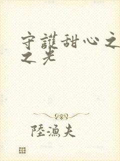 守护甜心之星辰之光