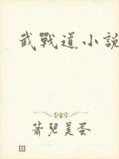 武战道小说