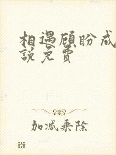 相遇顾盼成欢小说免费