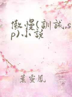 傲慢(训诫,sp)小说