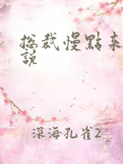 总裁慢点来 小说