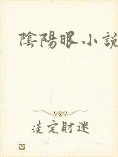 阴阳眼小说